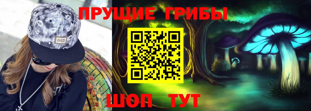 Псилоцибиновые грибы мицелий Новотроицк